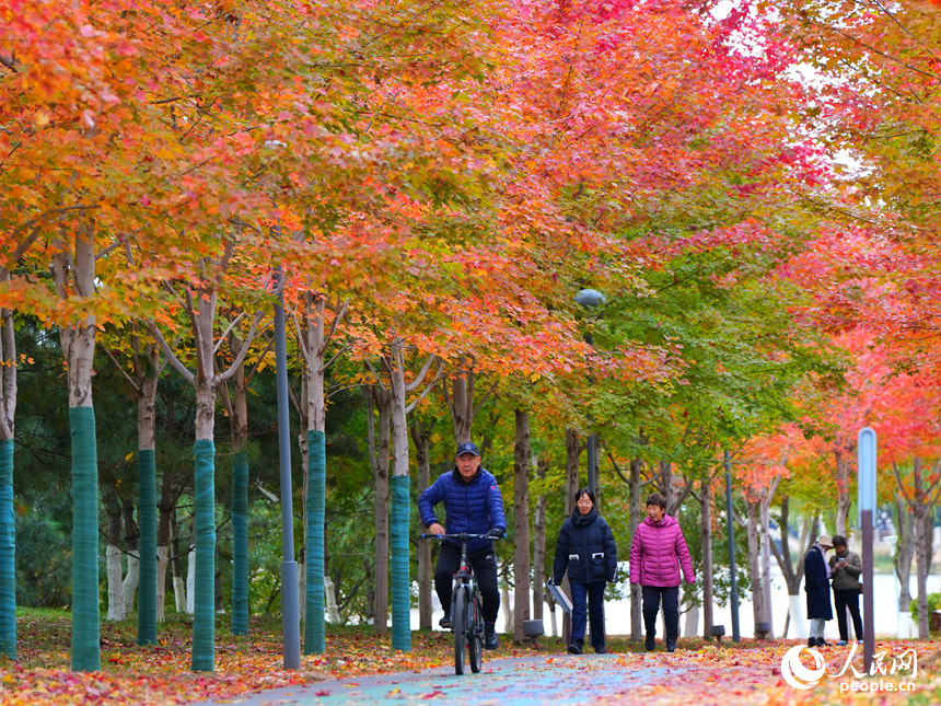 游客在月荷文化園賞秋。人民網記者 李洋攝