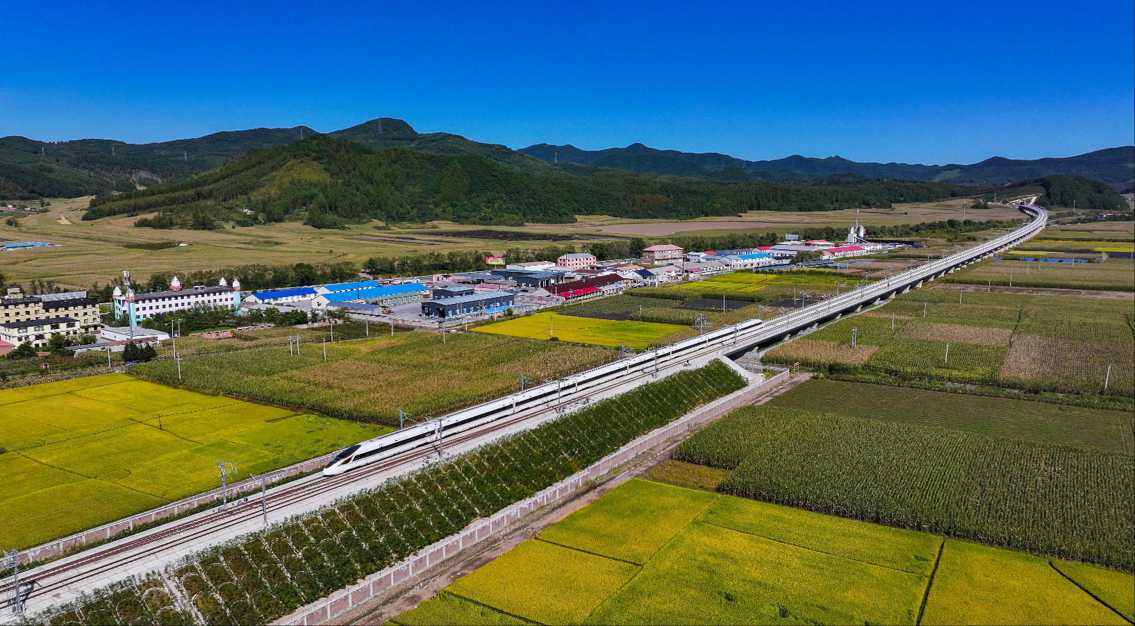 沈白高鐵在農田旁飛馳而過。陳明 攝