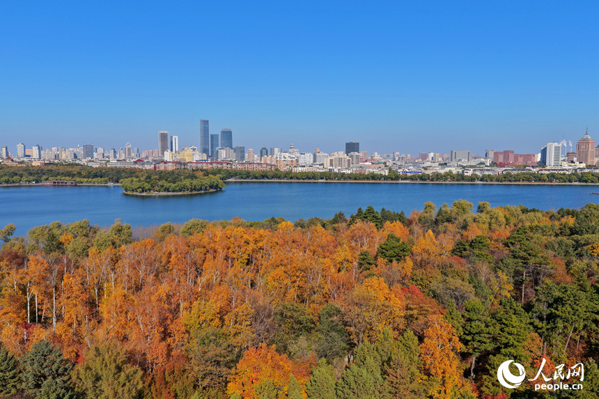 金秋時節，長春南湖公園層林盡染，秋景如畫。人民網記者 李洋攝