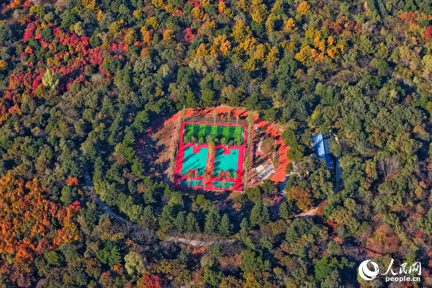 23日，長春南湖公園層林盡染、色彩斑斕。人民網(wǎng)記者 李洋攝