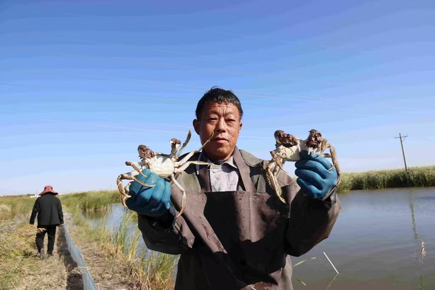 糧漁雙收，農戶增收（受訪者供圖）