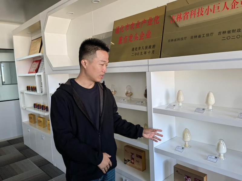 楊國棟介紹人參產品。人民網記者 馬俊華攝