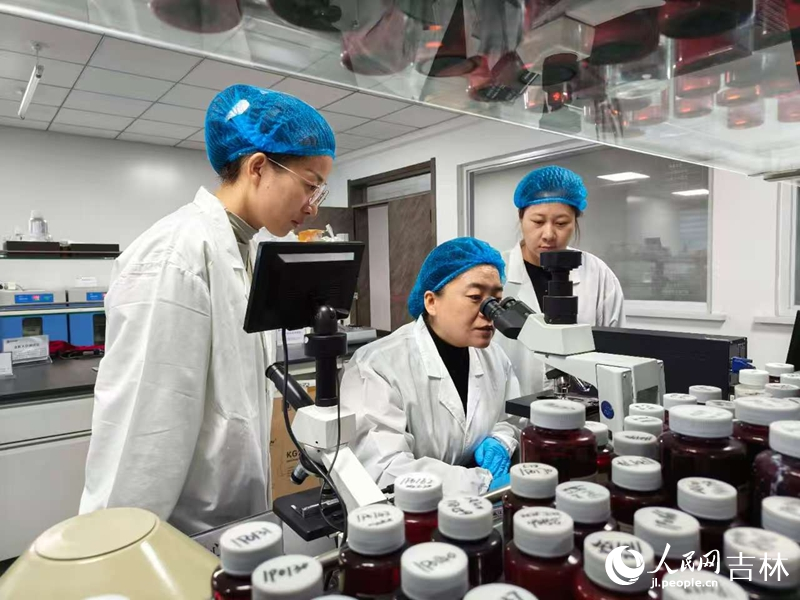 佟曉樂正在實驗室內進行研究。 實習生 王思皓攝