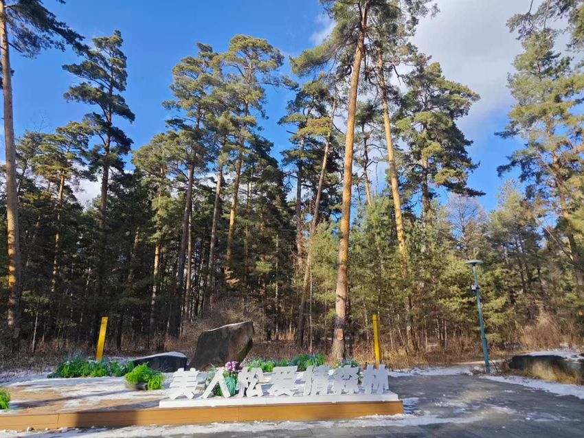 “吉林冰雪煥新季”主題采訪行丨長白山美人松愛情森林等你浪漫打卡【2】