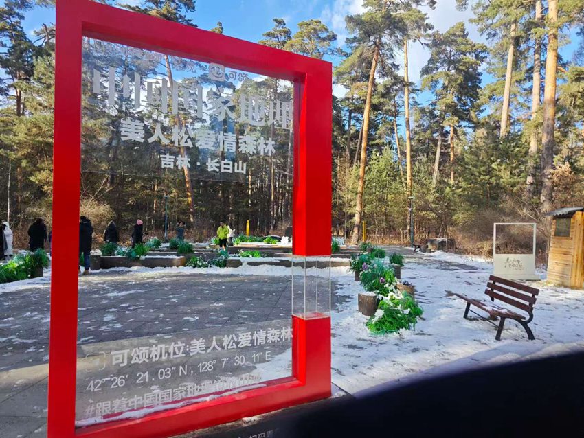 “吉林冰雪煥新季”主題采訪行丨長(zhǎng)白山美人松愛(ài)情森林等你浪漫打卡