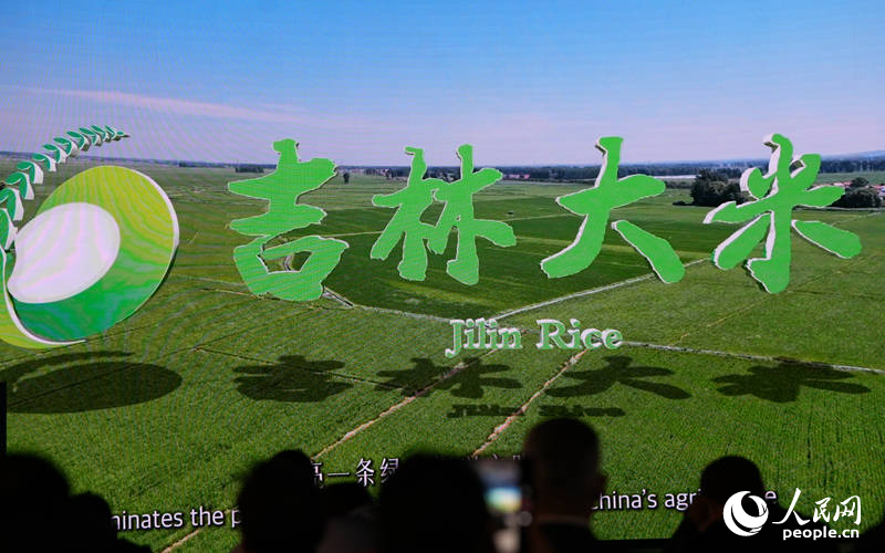 與會(huì)嘉賓深入了解吉林大米。人民網(wǎng)記者 李洋攝