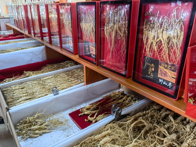 百草之王。人民網(wǎng)記者 馬俊華攝