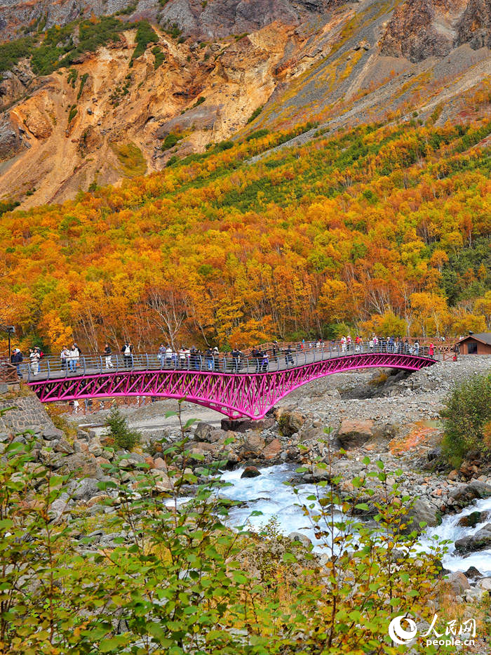 10月3日，吉林長白山秋意正濃，茫茫長白林海漸次換上了五彩斑斕的新裝，構成一幅層次分明的壯美畫卷。2025年是長白山自然保護區(qū)成立65周年、長白山保護開發(fā)區(qū)建區(qū)20周年。如今，長白山在生態(tài)環(huán)境保護和可持續(xù)發(fā)展方面采取了更加系統(tǒng)化、科技化和精細化的手段，持續(xù)鞏固其生態(tài)屏障地位。人民網(wǎng)記者 李洋攝