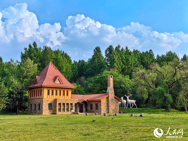 6月，長春市凈月高新區凈月潭國家森林公園夏意漸濃。凈月潭占地面積達96.38平方公里，水域面積5.3平方公里，森林覆蓋率達96%，被譽為“長春綠肺”。多年來，它靜默有力地張開綠色臂膀，吐故納新，擁抱守護著這座城市。人民網記者 李洋攝