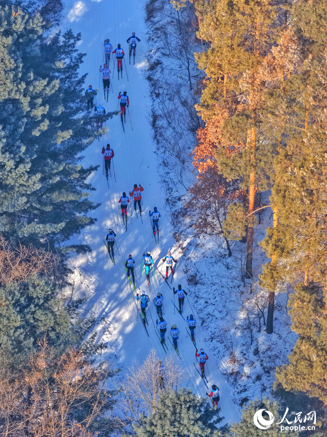 選手們馳騁在森林賽道中。人民網(wǎng)記者 李洋攝