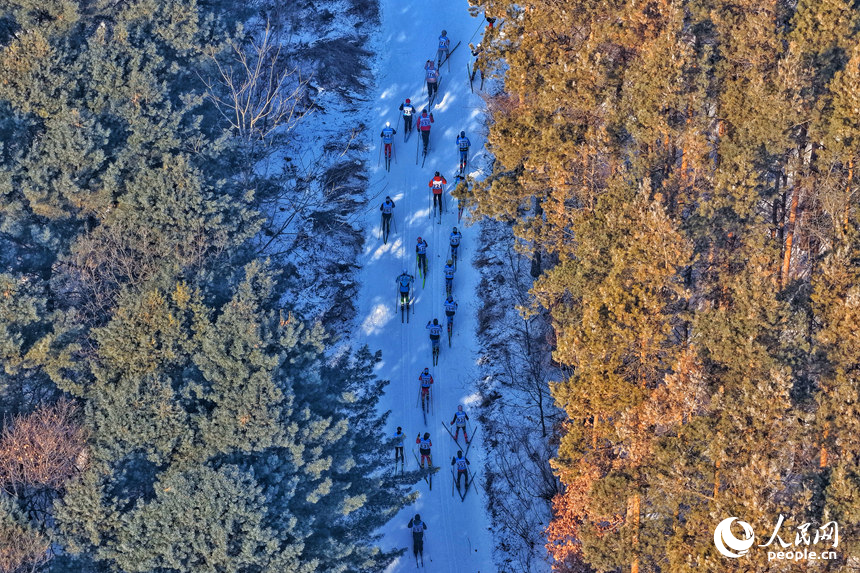 選手們馳騁在森林賽道中。人民網記者 李洋攝