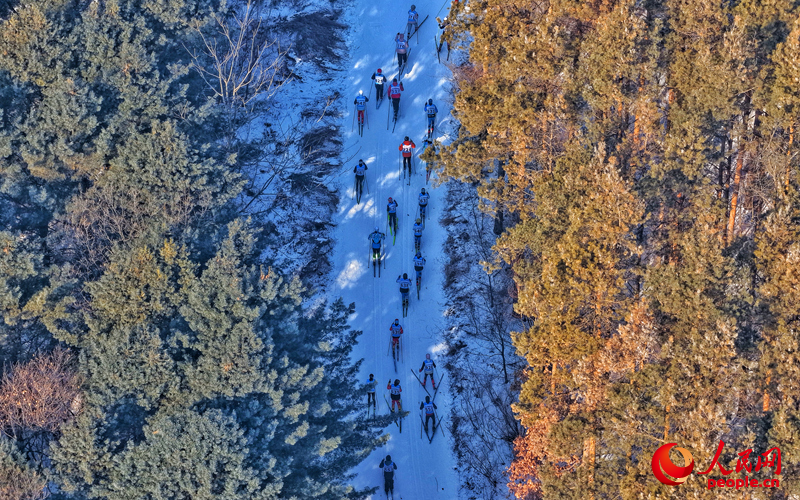 選手們馳騁在森林賽道中。人民網記者 李洋攝