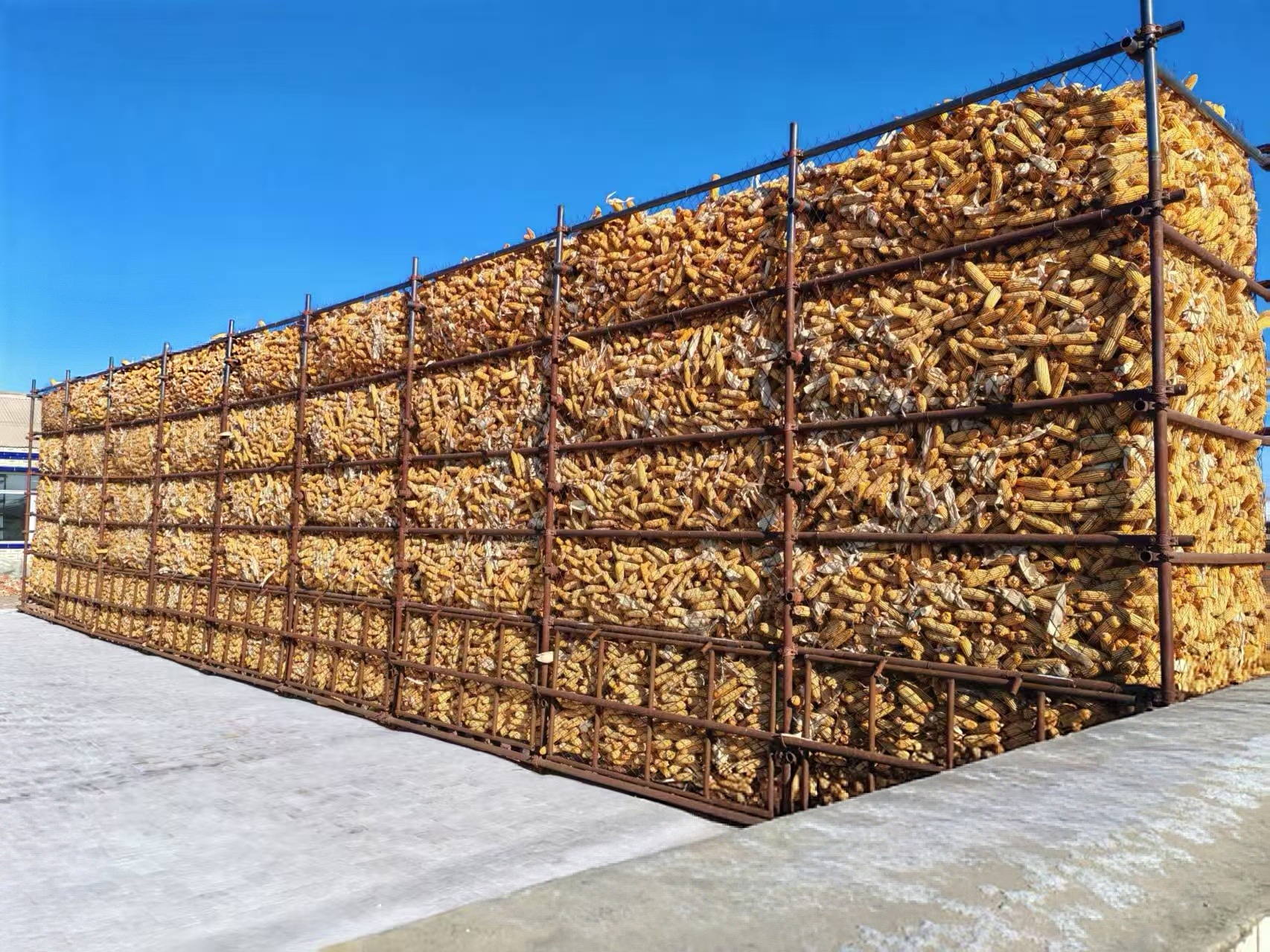 長春市“地趴糧”整治，讓好糧賣好價（資料圖片）