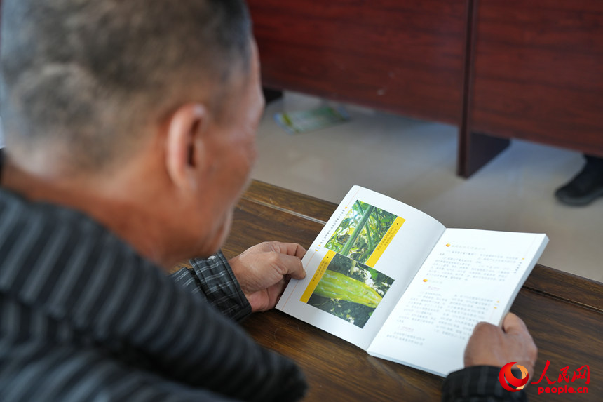 李春生在學習農業栽培技術。人民網記者 李洋攝