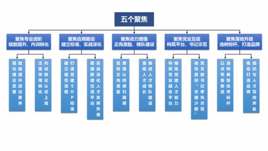 “五大基石”計劃